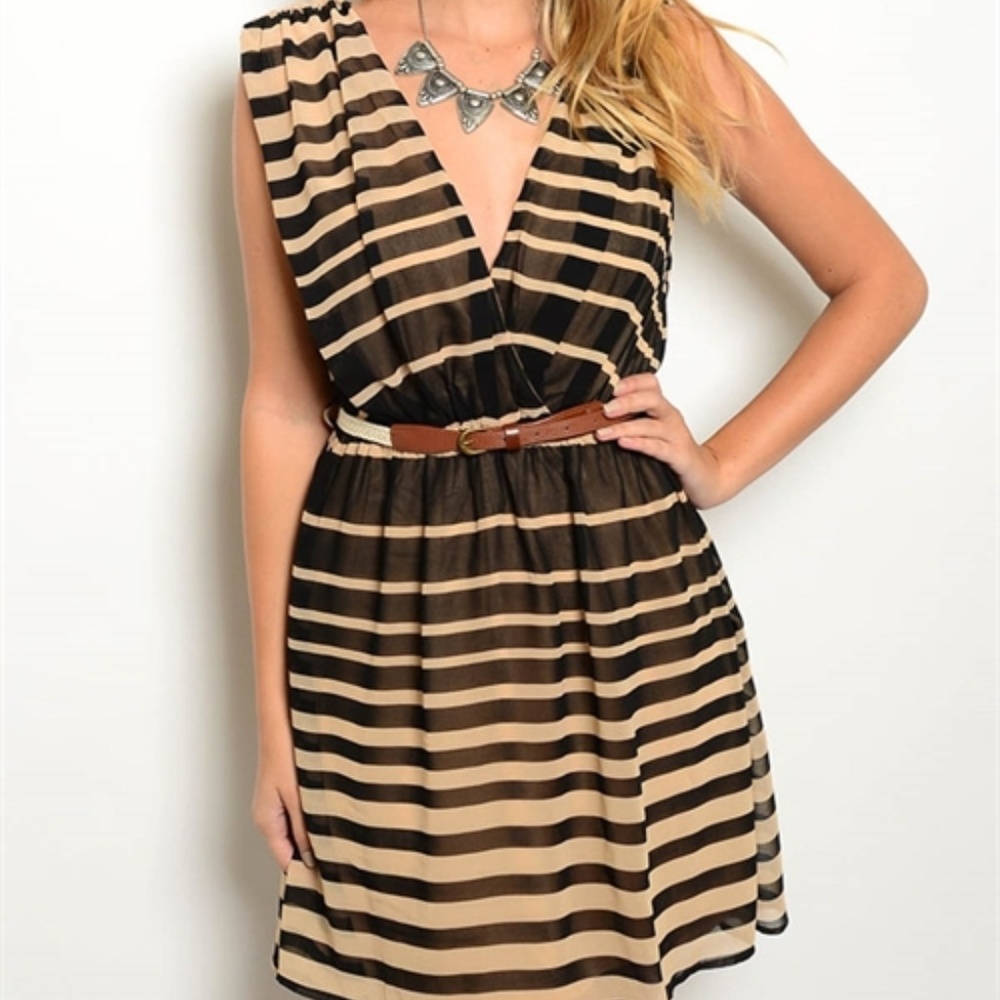 Taupe and Black Striped Dress with Deep V & Belt!